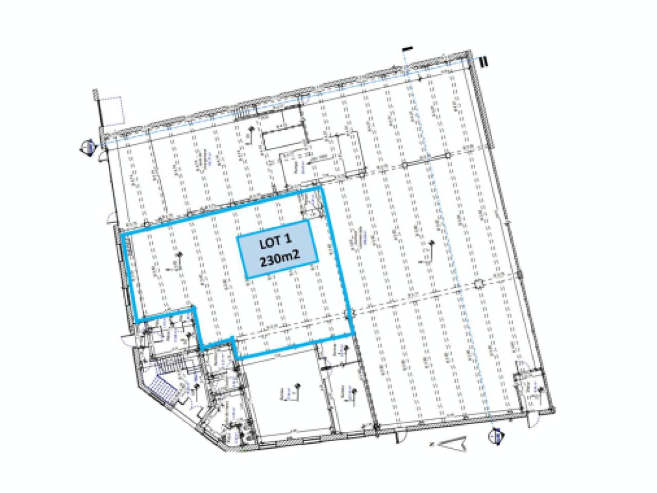 Local d'activité Lille 230m² Location local d'activité Lille Nord OLACT2427755 12